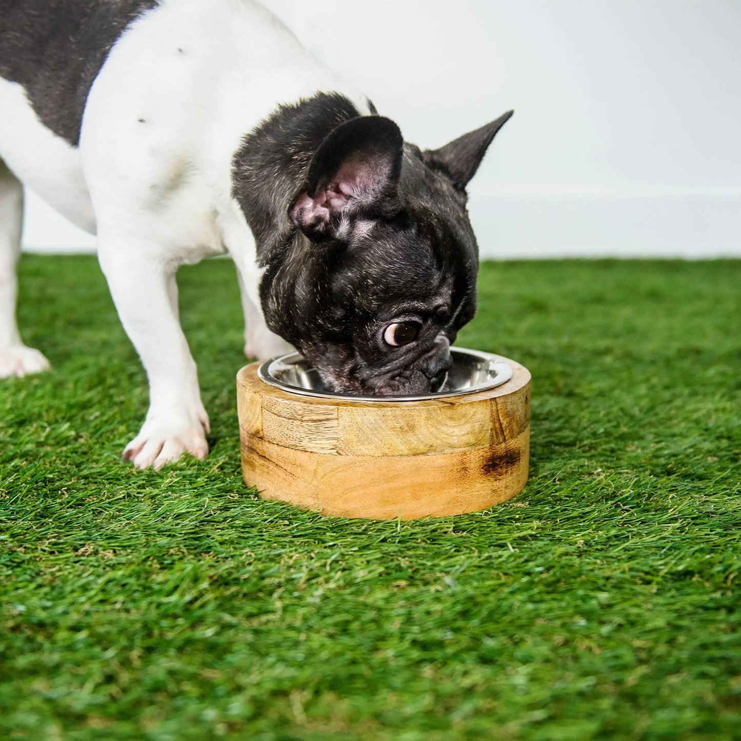 Wood & metal dog bowl